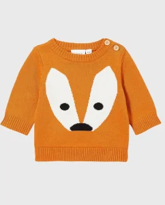 Royal Color Block Sweater for Smart Baby Boy Looks