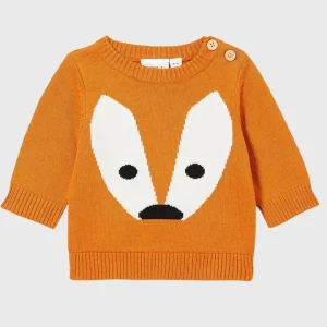 Royal Color Block Sweater for Smart Baby Boy Looks