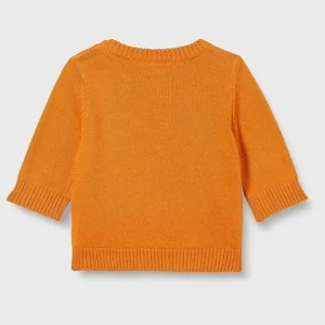 Royal Color Block Sweater for Smart Baby Boy Looks Hover Image